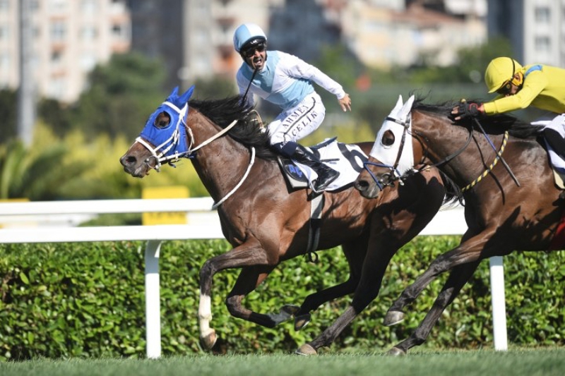 <p>99. GAZ� KO�USU'NU CUTHA KAZANDI.</p>