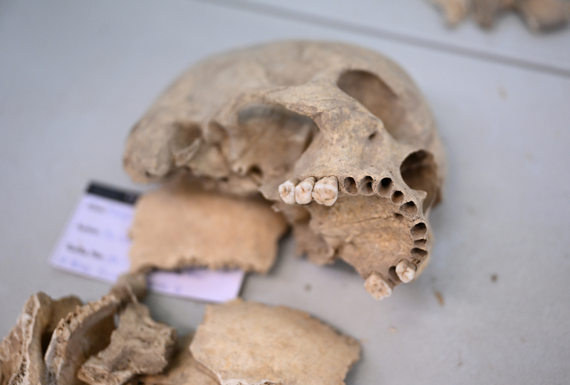 <p>Sadece b�lge de�il, d�nya uygarl�k tarihi i�in de b�y�k �nem ta��yan, 1991'de g�venlik nedeniyle ara verilen ve 10 y�l �nce yeniden ba�lat�lan �ay�n�'ndeki kaz� �al��malar�yla kesintisiz ya�am�n t�m a�ama ve detaylar� ortaya ��kar�l�yor.</p>