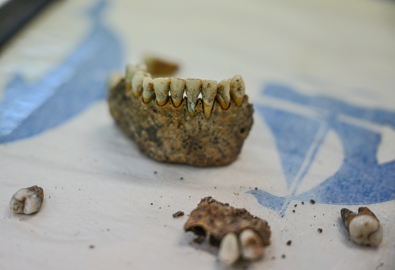 <p><b>- 'YO�UN B�R MEZARLIK OLDU�UNU TESP�T ETT�K'</b></p><p><b><br></b></p><p>Do�. Dr. Sar�altun, AA muhabirine, 2025 y�l�nda 8 ay boyunca 3 bin 200 metrekare alanda yo�un kaz� �al��malar� y�r�tt�klerini belirterek, T�rkiye'de 10 �niversiteden akademisyenlerin �ay�n� Tepesi kaz�lar�na katk� sunduklar�n� s�yledi.</p>