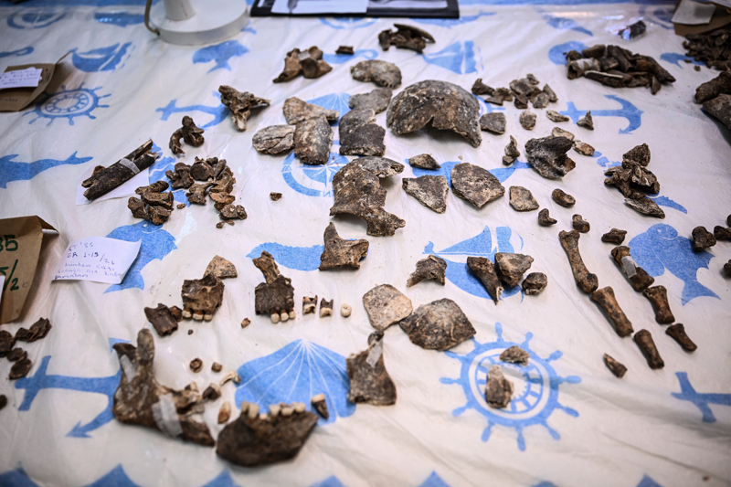 <p>Bu y�l kaz� alan�nda bir�ok buluntuya ula�t�klar�n� ifade eden Sar�altun, �unlar� kaydetti:</p>