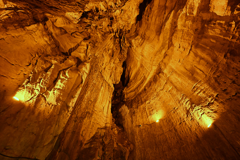 <p>�elenk, �al Ma�aras�'n�n etraf�n� kapsayan projenin de �u an kabul a�amas�nda oldu�una dikkati �ekerek, '�nsanlar�n geli� gidi�ini, ara� trafi�ini, park konusunu, sorun varsa da onlar� ortadan kald�rma noktas�nda �al��ma yap�yoruz. Bu sene in�allah meyvelerini alm��, sonu�lar�n� g�rm�� olaca��z.' ifadelerini kulland�.</p>