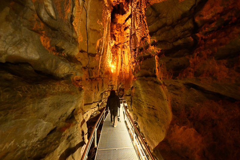 <p>�al Ma�aras�'n�n bulundu�u noktada 16 y�ld�r i�letmecilik yapan Metin Demir de ge�en y�lki ziyaret�i say�s�ndan memnun olduklar�n� belirterek, 'Ge�en sene daha �ok Orta Do�u'dan gelenler oldu. Bu sene beklentimiz biraz daha farkl�. �in'den ve Kafkasya'dan gelecek turistleri de bekliyoruz. Ziyaret�i say�m�z 200 binin �zerine ��kar diye d���n�yoruz.' dedi.</p>