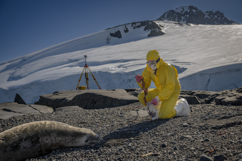 <p>�te yandan, Antarktika toprak ekosisteminde ya�ayan mikroorganizmalar da ayr� bir ara�t�rman�n konusunu olu�turuyor. A��r� so�uk ve kurak �artlara uyum sa�lam�� bu mikroorganizmalar�n topluluk yap�s� incelenerek, gelecekte biyog�bre olarak kullan�m olanaklar� de�erlendiriliyor.</p>
