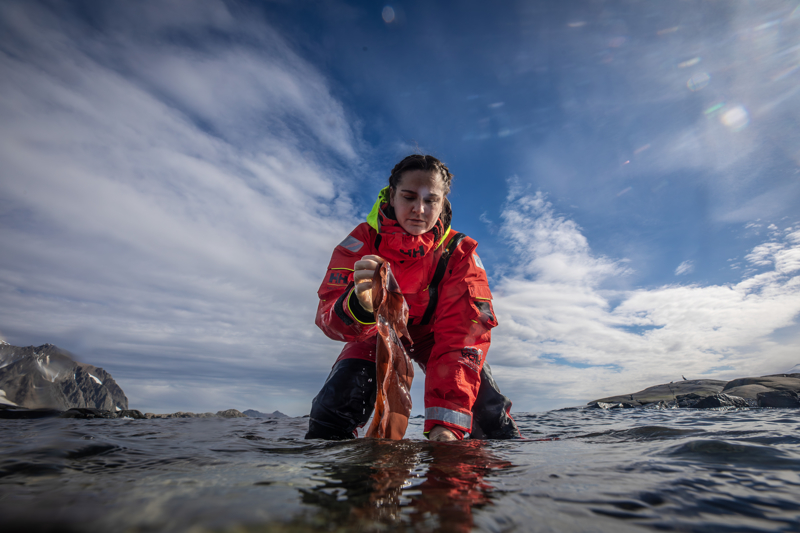 <p><b>- 'YEN� M�KROB�YAL G�BRELER GEL��T�RMEY� HEDEFL�YORUZ'</b></p><p><b><br></b></p><p>Tar�m ve Orman Bakanl��� Tar�msal Ara�t�rmalar ve Politikalar Genel M�d�rl��� (TAGEM) Toprak, G�bre ve Su Kaynaklar� Merkez Ara�t�rma Enstit�s�'nden ara�t�rma projesiyle sefere kat�lan Dr. �a�lar Sagun, projelerinin de�i�en iklim �artlar�nda Antarktika topraklar�ndaki mikroorganizmalar�n topluluk yap�lar�n� incelemek oldu�unu aktard�.</p>