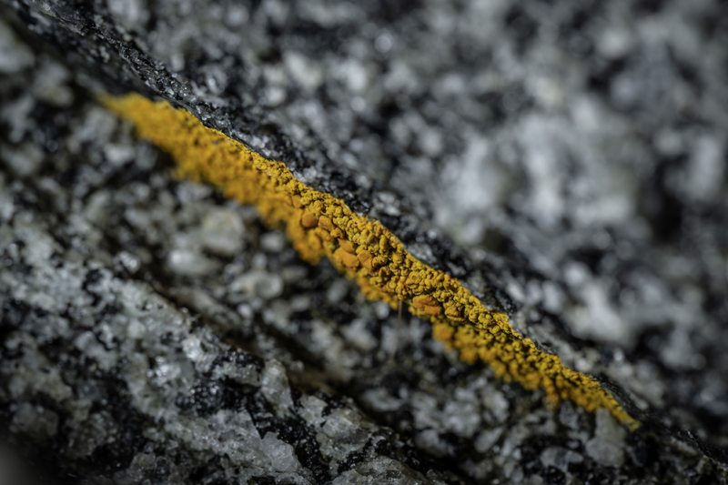 <p>'Zaten hepimiz Kovid-19'dan vir�slerin hayat�m�za giri�ine al��t�k ve burada ne kadar �aresiz oldu�umuzu, imkanlar�m�z�n ne kadar yetersiz oldu�unu g�rd�k. Biz de bu �al��mayla burada elde etti�imiz bitki ve alglerin i�eri�indeki biyoaktif etkenler nas�l bir tedavi, nas�l bir ila� geli�tirebilir bunun etkilerini inceleyece�iz.'</p>