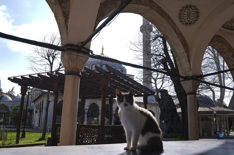 <p>Camiye, 'Atik Valide' veya 'Eski Valide' denildiğini anlatan Kanbaş, bunun nedeninin, ilerleyen yıllarda 3. Ahmed'in annesi Gülnuş Valide Sultan'ın, Üsküdar İskele Meydanı'nda Valide-i Cedid Camisi ve Külliyesi'ni yaptırması olduğunu söyledi.</p>