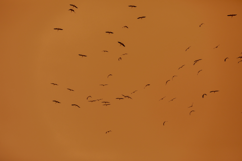 <p>Hasta ve solunum yolu rahats�zl�klar� ya�ayan Filistinliler, a��k alanlarda ve y�rt�k �ad�rlarda zor anlar ya�ad�.</p>