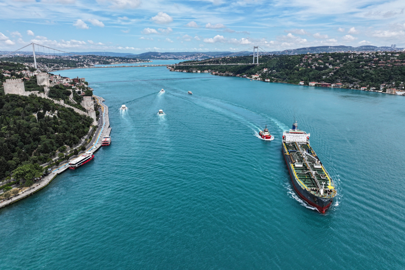 <p>Deniz Yaşamını Koruma Derneği Kurumsal İlişkiler İş Birlikleri Yöneticisi Gizem Ece ise Marmara'da denizel biyoçeşitliliğin iyileşmesi için onarıcı restorasyon çalışmaları yürüttüklerini, bu kapsamda yunusları da gözlemlemek için operasyon düzenlediklerini belirtti.</p>