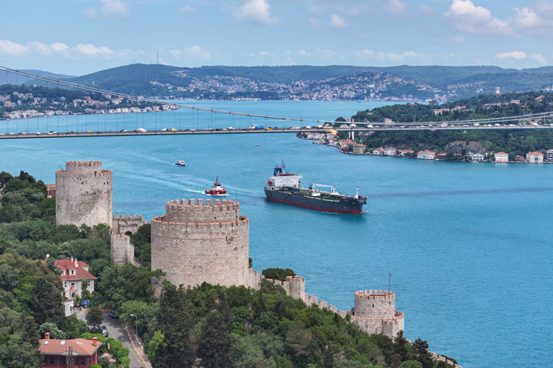 <p>İlkılınç, İstanbul Boğazı'nda gerçekleştirdikleri son gözlem çalışmalarına ilişkin şunları söyledi:</p>