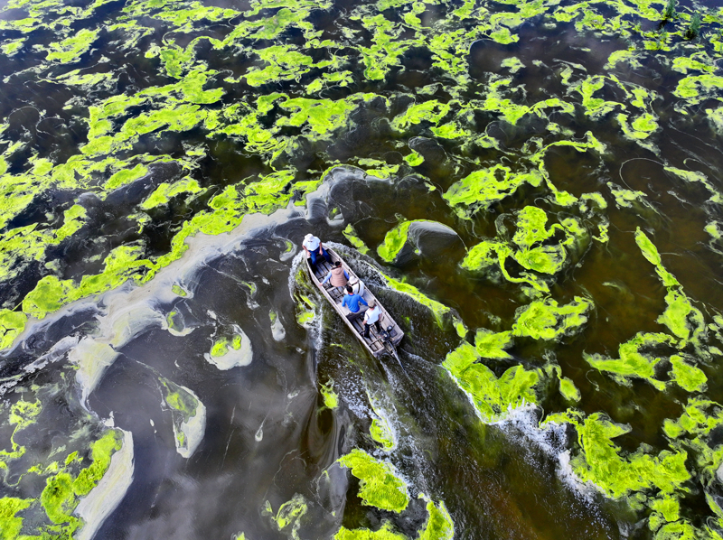 <p>Sığ sularda ilerleyebilen kayığın büyük bir özlemle yapıldığını aktaran Arslan, '20 yıldır beklediğimiz su geldi. Geziyoruz, dolaşıyoruz. Gölün hemen hemen ortasında 90 santimetrelik su derinliği var. Yıllardır bu su seviyesini görmedik. İnşallah daha iyi olur. Bundan üç ay önce durduğumuz yerde araçlar hareket ediyordu.' ifadelerini kullandı.</p>