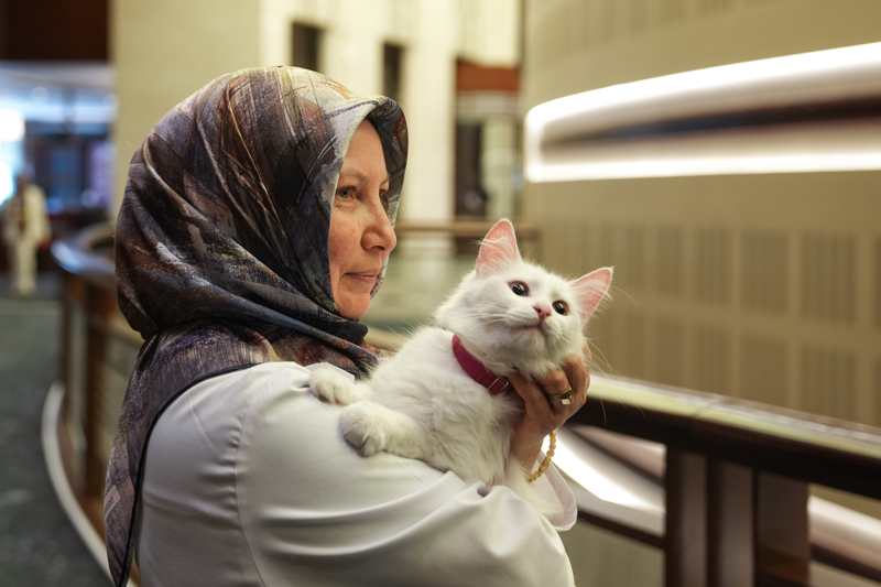 <p>Avrupa'da Angora kedisi olarak bilinen Ankara kedileri, basın mensuplarının ilgisini çekti.</p>