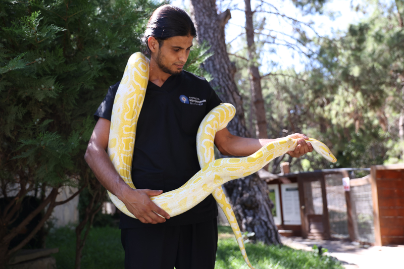 <p>Etkinlikte uzman ekipler, yılanların biyolojik özellikleri, yaşam şekilleri, beslenme alışkanlıkları, savunma davranışları ve ekosisteme sağladıkları katkılar hakkında bilgi verdi. Ziyaretçiler de yılanlara ilişkin merak ettikleri soruları uzmanlara yöneltme imkanı buldu.</p>