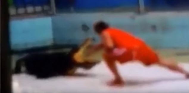  Timsahn dnmesiyle beraber kolunu kaptran eitmen de ayn anda yan dnp kolunu kurtarmay baard.  