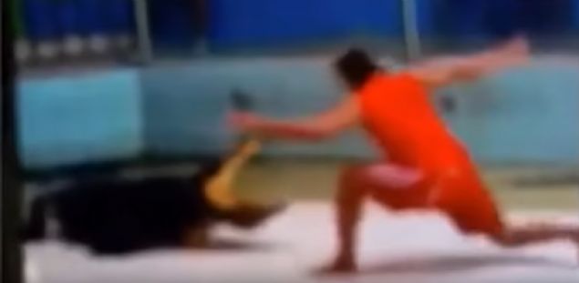 Bir anda azn kapatan timsah yan dnmeye balad.    