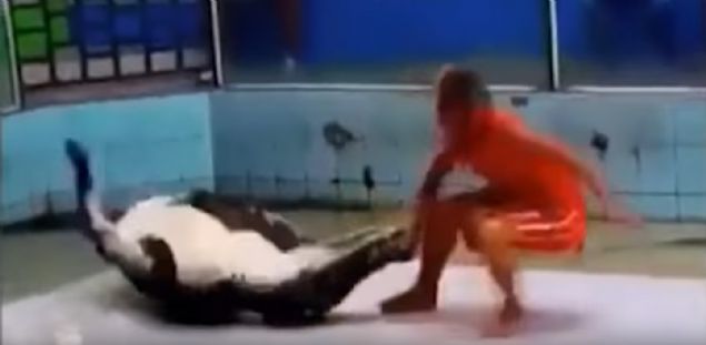   te o dehet grntleri... 