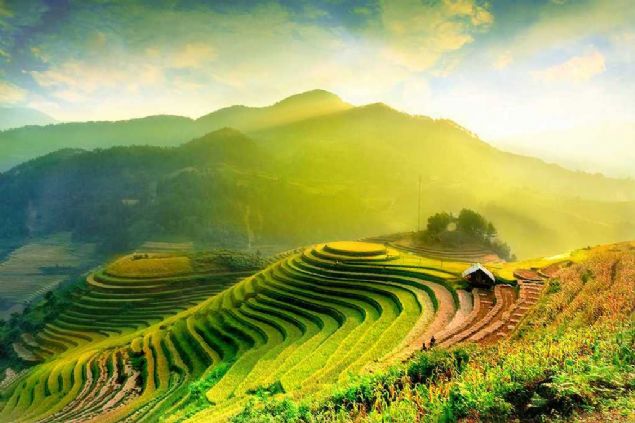 Rice fields on terraced, Mu Cang Chai, Vietnam     