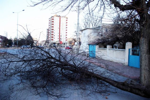 Sobalardan s�zan karbonmonoksit gaz�ndan zehirlenen 8 ki�i ise hastanelerdeki tedavilerinin ard�ndan taburcu edildi. 