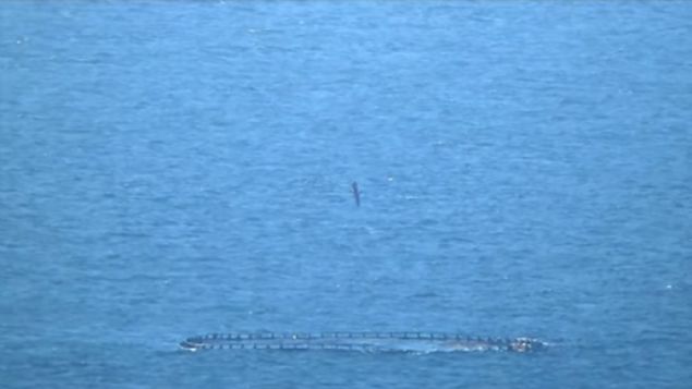 Uzun menzil <br>  Dk grnrlk <br>  Yksek hassasiyet <br>    