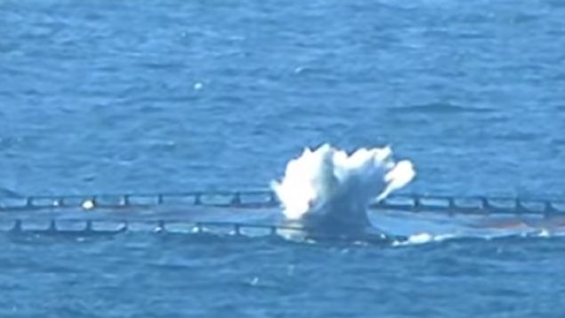 Kar koyma/kartrma tedbirlerine kar dayankl <br>  Frsat hedeflerine Angajman <br>  Uus srasnda nceden planlanm grevler arasnda seim <br>  Uu srasnda hedef tanmlama <br>    