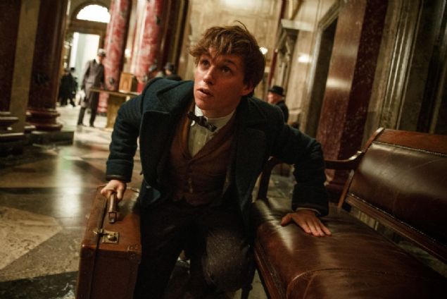    Fantastic Beasts And Where To Find Them  