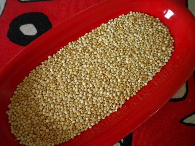 Pirin� ve bu�day gibi tah�llarla k�yasland���nda daha kaliteli ve y�ksek protein i�erdi�i bilinmektedir.  