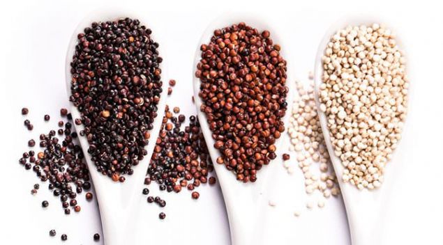 American Journal of Clinical Nutrition'da yay�nlanan bir �al��mada kinoan�n 15 grubu incelenmi� ve ikisinin -Ayacuchana ve Pasankalla- ��lyak hastal��� olan ki�ilerde bir tepkiye yol a�abilece�i bulunmu�.  