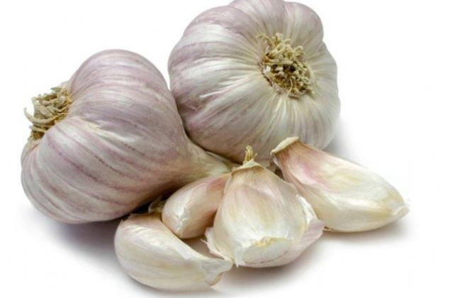 46. KASTAMONU - Takpr Sarmsa   