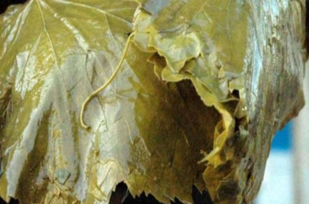 74. TOKAT - Asma Yapra   