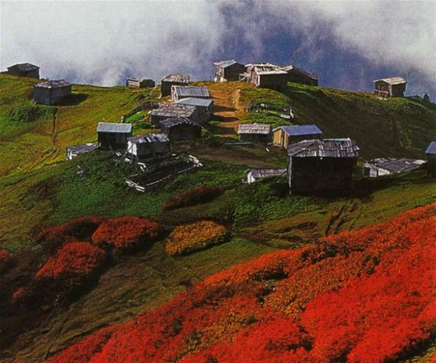 Artvin    GS: % 35  FB: % 25  BJK: % 16  