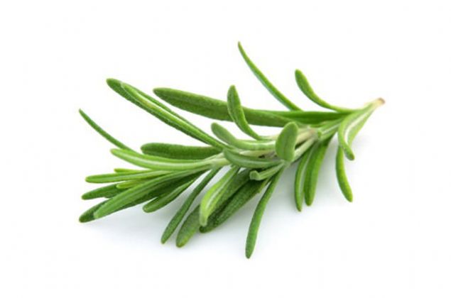 B�BER�YE  Bir kad�n elindeki biberiye dal�n� size vermeye �al���r. Bunun size �ans getirece�ini iddia eder. Sonra da paras�n� ister. �demezsen ailene ve sana lanet okur. Korkars�n ve istedi�i paray� verirsin MADRID - YEN� DELH� 