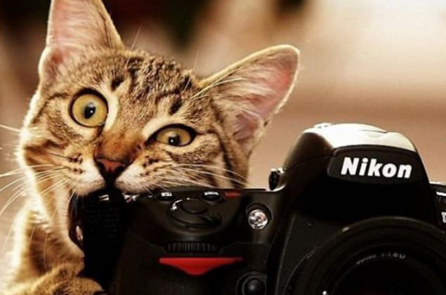 FOTO�RAF  Arkada� canl�s� g�z�ken biri yan�n�za yakla��p foto�raf�n�z� �ekmeyi teklif eder. En iyi ihtimalle biraz para ister, en k�t� ihtimalle foto�raf makinenizi al�p ka�ar B�T�N AVRUPA 