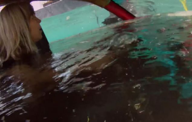 Gordon, 'Suya dtkten 30 ile 60 saniye arasnda mutlaka aratan kmanz gerekiyor ve bu saniyeler hayati' diyor.ncelikle bilmeniz gereken nokta, otomobil suya dtkten sonra kaplarnn su basnc nedeniyle almayacak olmasdr. Su aracn iine tamamen dolana ve i-d basn eitlenene dek kaplar almayacaktr. Bouna kapy amaya alarak enerjinizi tketmeyin.      