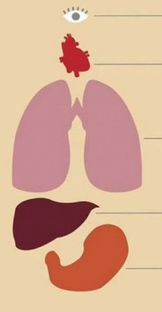  Ortalama bir insan;    23 bin kez g�z k�rpar,  100 bin kez kalbi atar,  23 bin kez nefes al�r,  Karaci�eriyle 1500 litre kan� s�zer,  Midesiyle 2 litre asit �retir.  