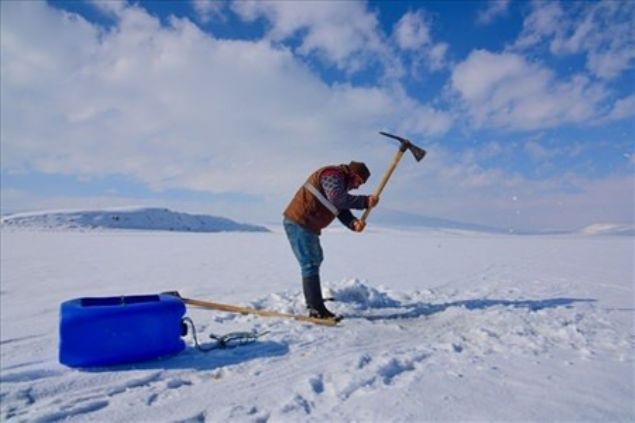 Balklar, buz tabakasn baltayla krp gl donmadan nce serdikleri alarla balk avlad.   