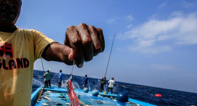 zel sopalara balanan misinann ucuna taklan zel bir kanca ve yem ile ksa srede ok sayda balk tutabiliyorlar...   