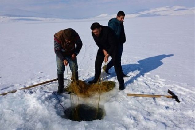 Bitlis'in Ahlat ilesinde vatandalar, yzeyi donan Nazik Gl'nde balk avlad. leye bal Ovakla beldesi ile Nazik, Glgren, Dilburnu ve Krkkaya ky sakinleri, her yl souk hava nedeniyle donan Nazik Gl'nde tehlikeye aldr etmeden balk avlyor.   