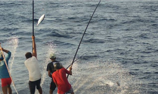 Klasik olta kullanmak yerine, bu adamlar sopalarla, bilinen yntemden ok fazla balk yakalyor...   