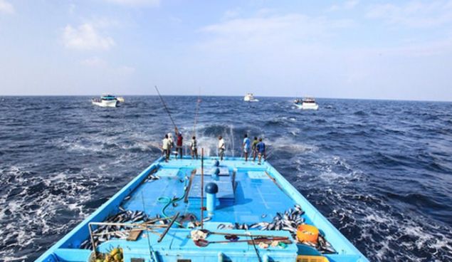 te o sra d balklar ve onlarn avlanma yntemleri...   