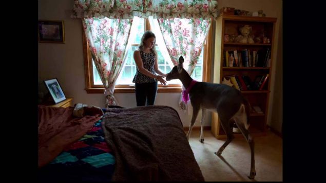 Fotoraf, kzn 3 yandan beri farkl hayvanlarla fotoraflyor: Lamalar, ren geyikleri, kangurular, filler Schwartz, u anda 18 yanda olan kznn hayvanlarn yanndayken hep gayet rahat ve cesur davrandn sylyor. Her biri ile bir sevgi ba oluturduunu aktaryor. 