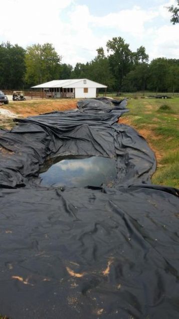 3 yllk ura sonucu kk bir plaj, elalesi, iinde bitki ve balklarla dolu olan bir gl yapt.   