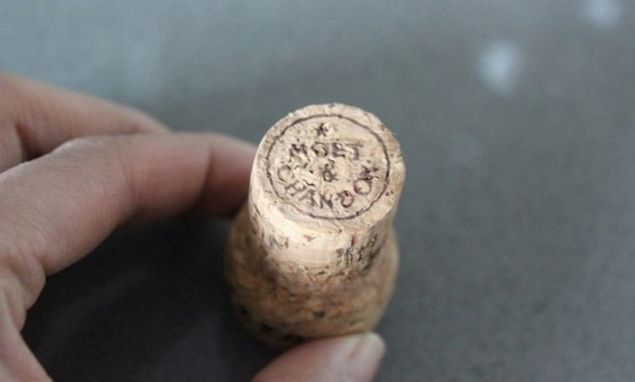 Kalem Kk, keskin bir bak, ak dz ulu tornavida minik bitkiler toprak      