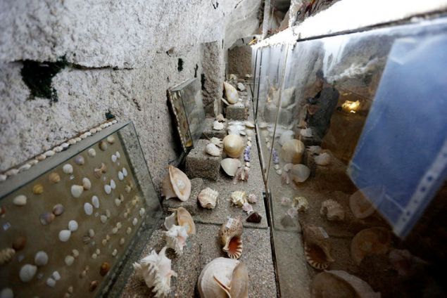 Deniz Hayat� M�zesi M�d�r� Linda Yunus, di� doktoru olan e�i Cemal Yunus'un �zel ilgisi sayesinde, 35 y�l s�ren bir �al��man�n sonucu olarak m�zedeki canl�lar�n bir araya getirildi�ini s�yledi. Yunus, 4 bin 500 metrekarelik alana sahip ve d�nya genelinde insan eliyle yap�lm�� en b�y�k ma�aralardan bir tanesi olan bu m�zenin in�as�n�n da 11 y�l s�rd���n� belirtti. 