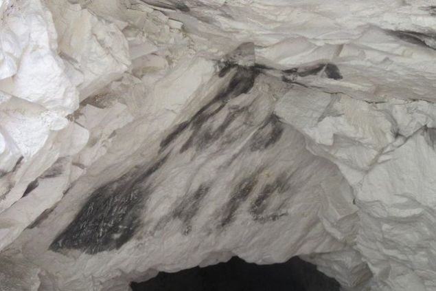 Bulunan paralar arkeologlar tarafndan byk bir heyecanla karland.   