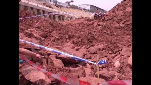  tanesi tahrip olmu, iki tanesi de salam kalm toplam 5 yumurtann ikinci an son dnemlerine ait olduu dnlyor.    