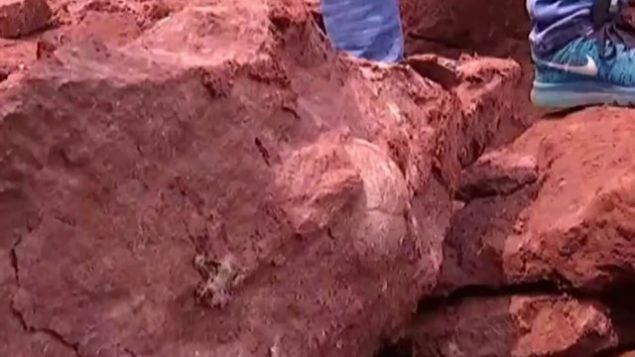 Çin’de 70 milyon yıllık dinozor yumurtaları Çin’de 70 milyon yıllık dinozor yumurtaları
