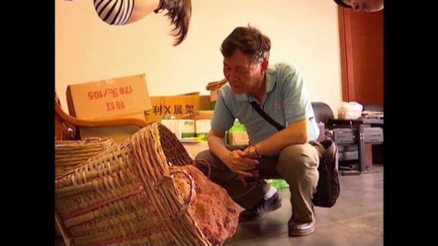 Gemi hakknda ok gl bilgilere sahip olmay salayacak yumurtalar imdilik yerel bir mzede muhafaza ediliyor.    