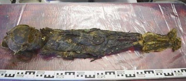 Bu mumya dnda blgede 32 mezar daha var. Uzmanlar, bir mezar treni esnasnda cenazenin yanllkla mumyaland kansnda.      