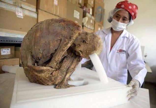 Hkmet tarafndan desteklenen almada yerleim yeri aranrken kan bebek mumyas aratrmann boyutunu tamamen deitirdi.      