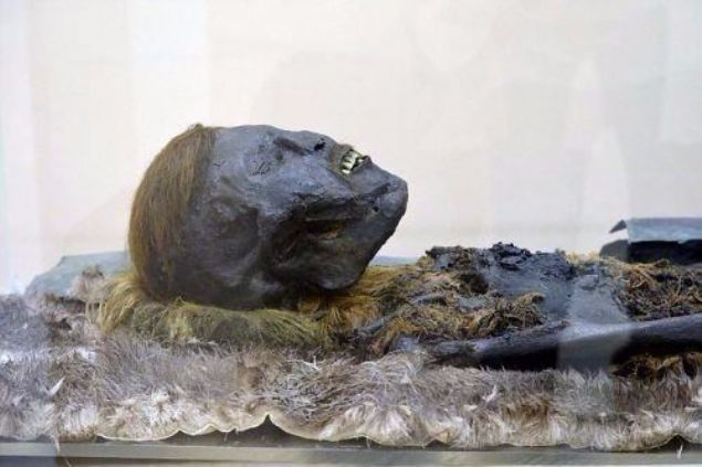 Vcudu bakrla kapl olan 'kzl sal adam'n yannda bir takm baka defin cisimleri de bulundu.      