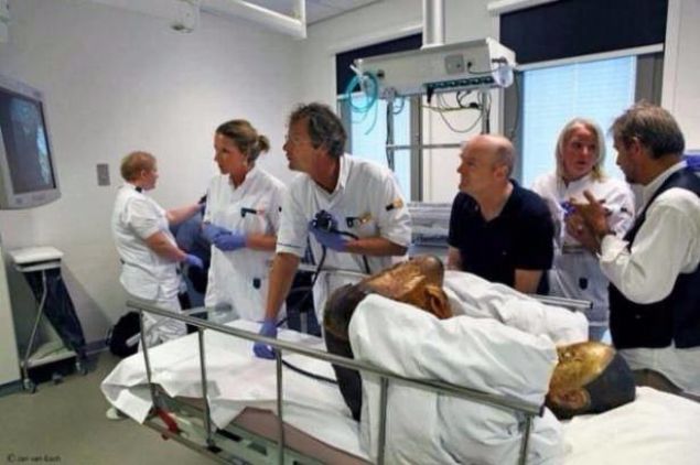 Heykel ve iindeki mumyann interaktif tomografisi, mays ayna kadar Macaristan'daki Ulusal Tarih Mzesi'nde sergilenecek.      